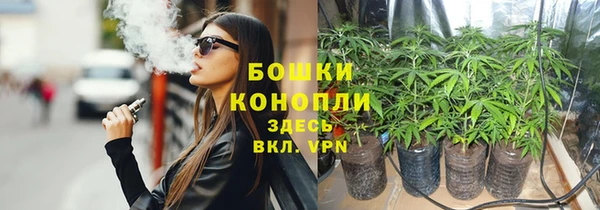 PSILOCYBIN Алзамай