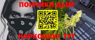 прущие грибы Будённовск