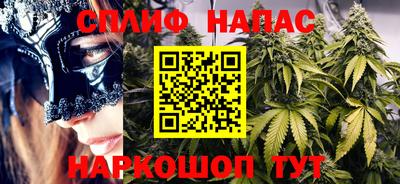 прущие грибы Будённовск