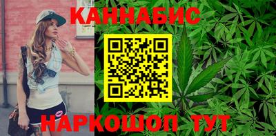прущие грибы Будённовск